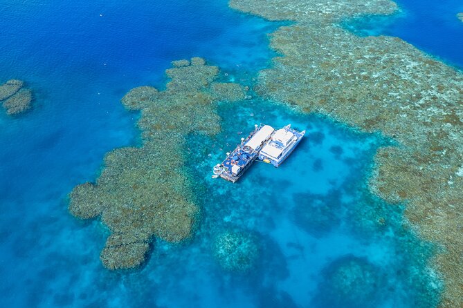 Sunlover Reef Cruises Cairns Great Barrier Reef Experience - From Cairns Marina to Moore Reef