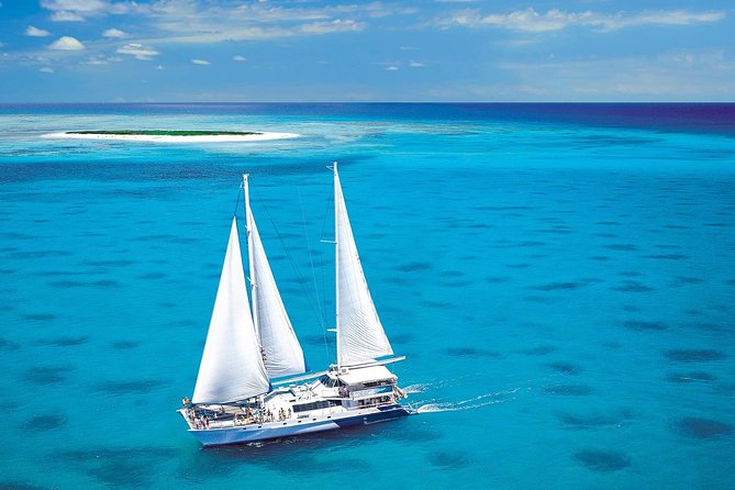 Sunlover Reef Cruises Cairns Great Barrier Reef Experience - Glass-bottom viewing and the underwater observatory