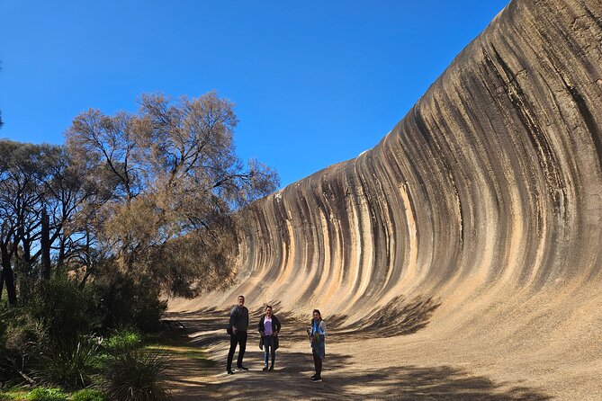 Swan Valley Wine Cruise - The return cruise, dessert, and live music