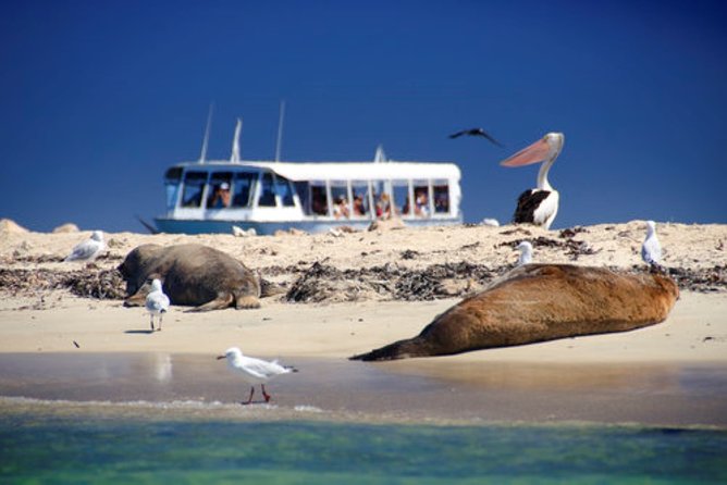 Swan Valley Wine Cruise - Who will enjoy this day most