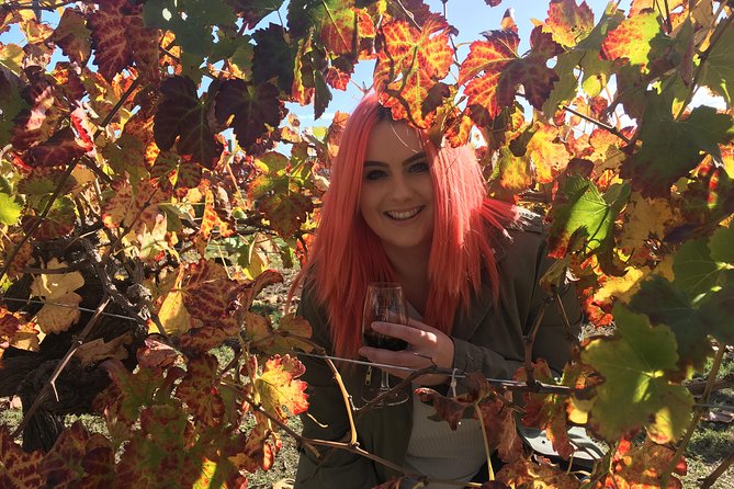 Swan Valley Winery Experience - Full Day Coach Tour - Lancaster Wines adds cheese among the vines
