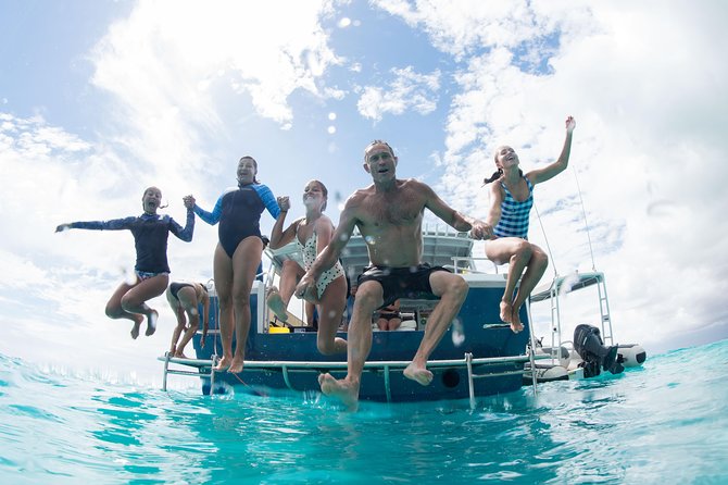 Swim with Whale Sharks in the Ningaloo Reef: 3 Island Shark Dive - Practical details before you book