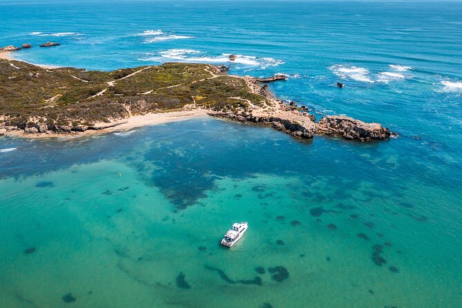 Swim with Wild Dolphins Day Tour - Should you book it?