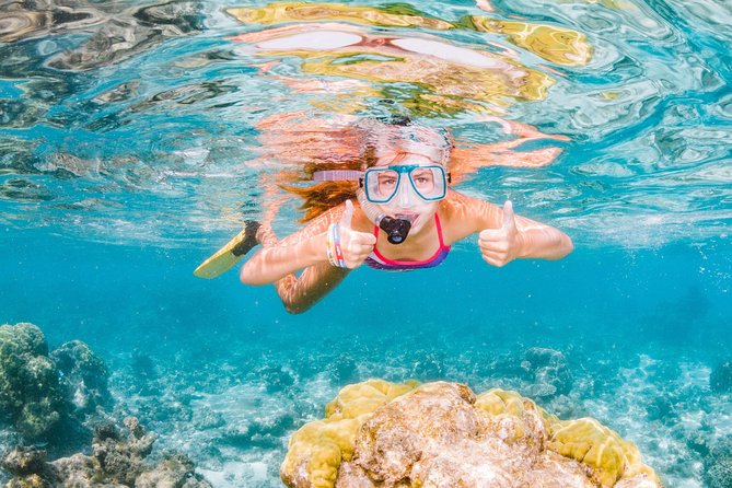 Swimming with the Whale Sharks - Ningaloo Reef (Exmouth) - A 7 a.m. start from Exmouth