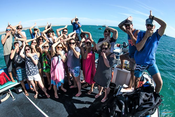 Swimming with the Whale Sharks - Ningaloo Reef (Exmouth) - Food, gear, and the small comforts