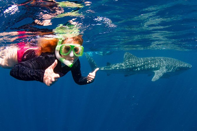 Swimming with the Whale Sharks - Ningaloo Reef (Exmouth) - Life aboard the 65-foot Ningaloo Blue