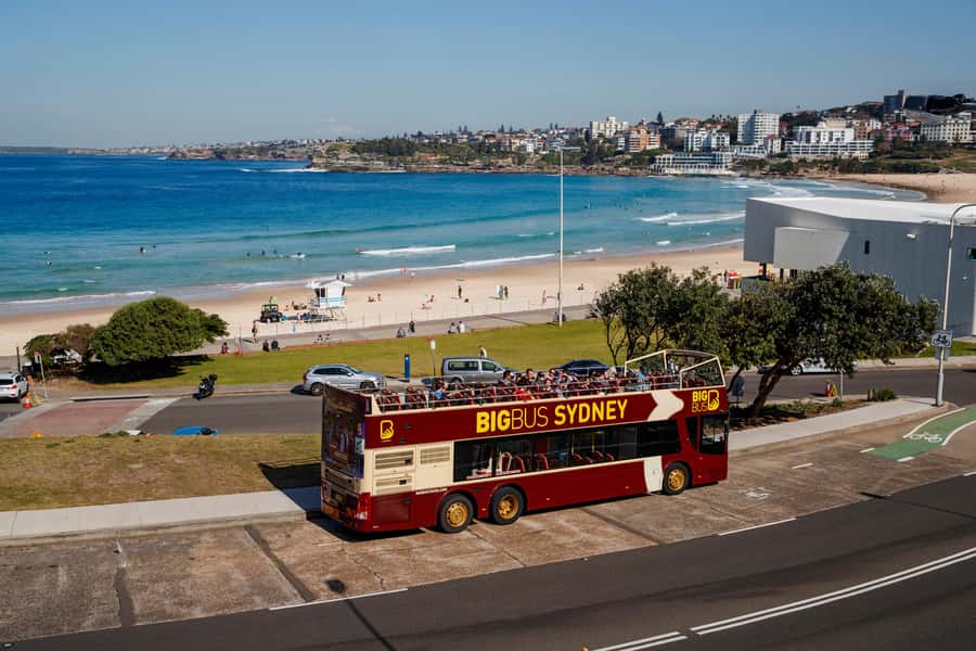 Sydney: Big Bus Hop-On Hop-Off Tour with Optional Cruise - Sydney from the top deck: what the bus covers