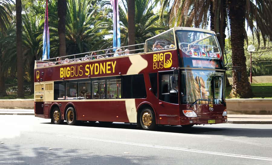 Sydney: Big Bus Hop-On Hop-Off Tour with Optional Cruise - How to plan one or two days without rushing