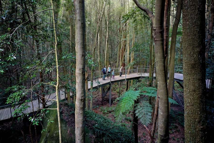 Sydney: Blue Mountains National Park Tour with River Cruise - Three Sisters and the stories behind the rocks