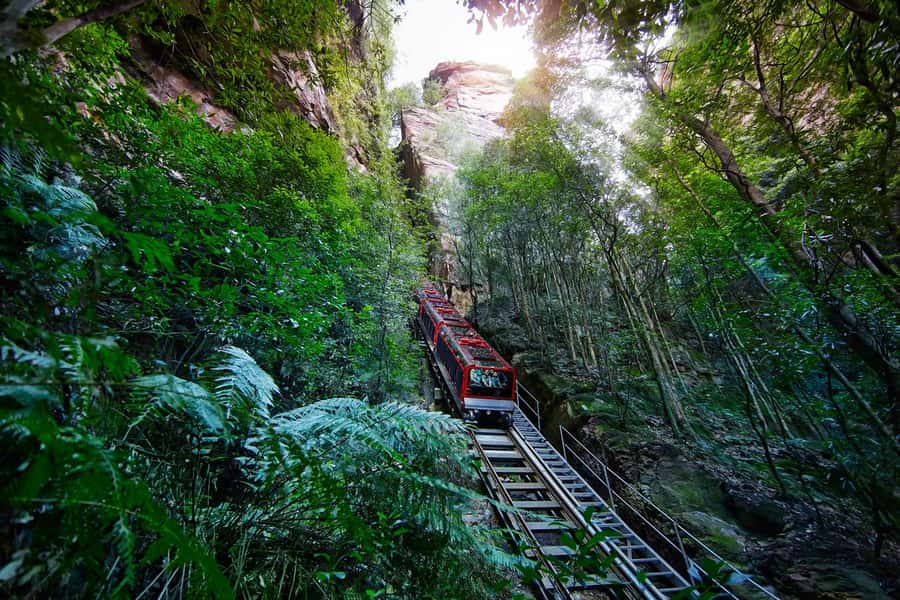 Sydney: Blue Mountains National Park Tour with River Cruise - Scenic World: the big optional choice