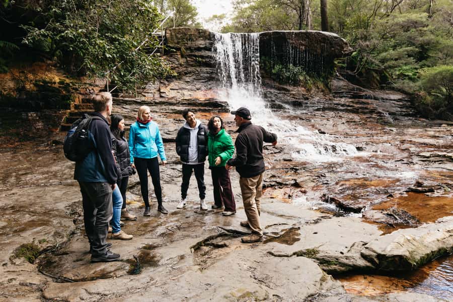 Sydney: Blue Mountains Wildlife & Bushwalk Small-Group Tour - Lunch in Leura or Katoomba