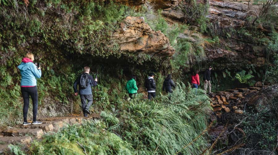 Sydney: Blue Mountains Wildlife & Bushwalk Small-Group Tour - Featherdale Wildlife Park: a strong opening stop