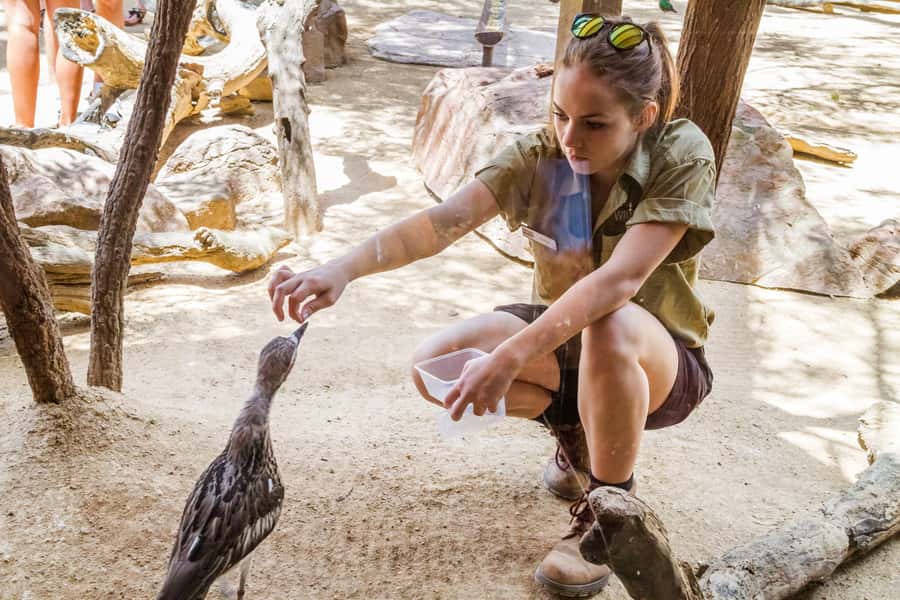 Sydney: Combo Pass for 2, 3, or 4 Top City Attractions - Should you book the combo pass?