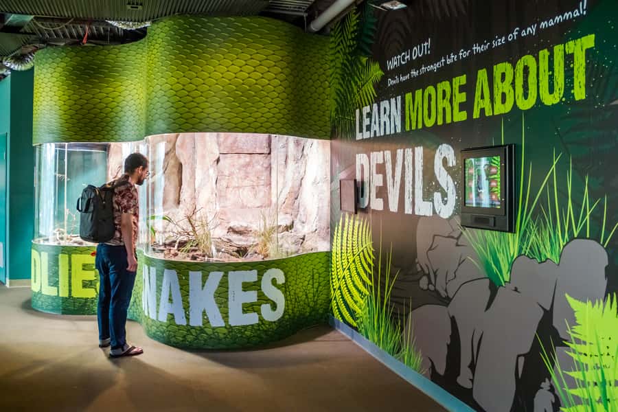 Sydney: Combo Pass for 2, 3, or 4 Top City Attractions - Starting at SEA LIFE Sydney
