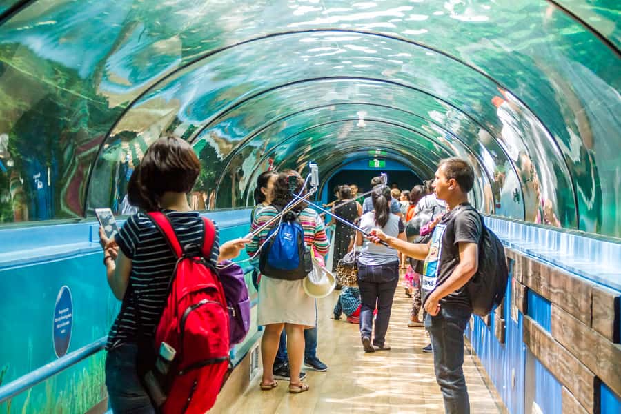 Sydney: Combo Pass for 2, 3, or 4 Top City Attractions - Madame Tussauds for a lighter change of pace