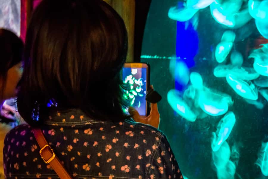 Sydney: Combo Pass for 2, 3, or 4 Top City Attractions - Building a one-day plan without rushing