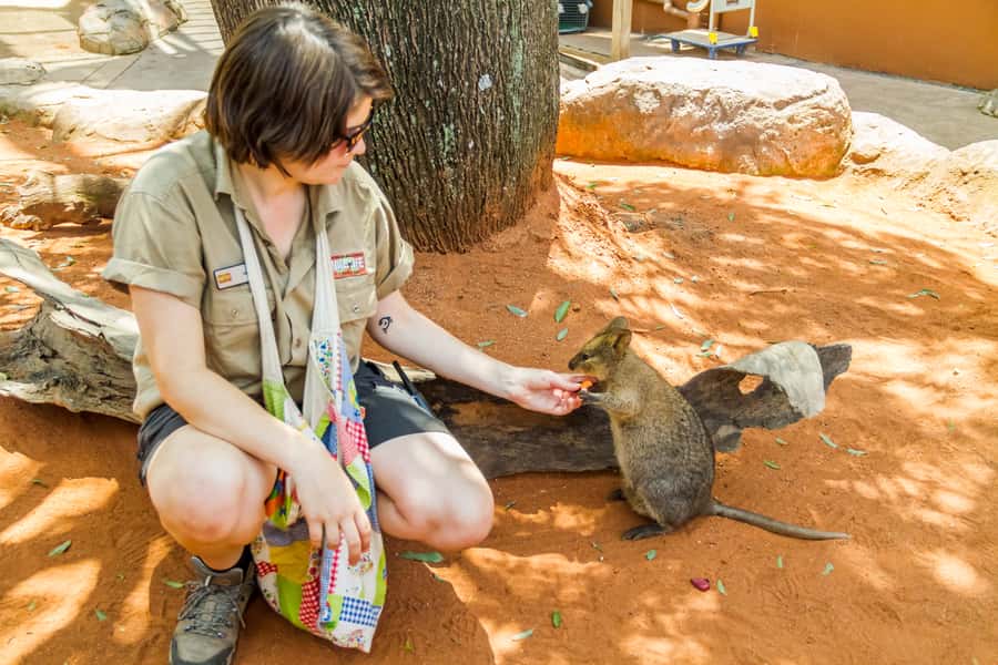 Sydney: Combo Pass for 2, 3, or 4 Top City Attractions - Phone tickets, timing, and small practical details