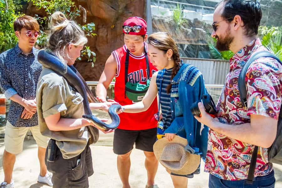 Sydney: Combo Pass for 2, 3, or 4 Top City Attractions - Wild Life Sydney and Australia’s native animals