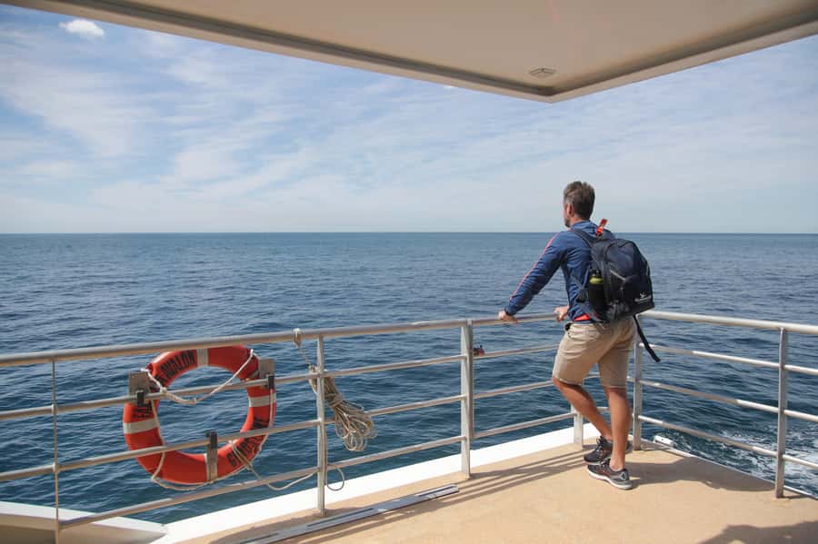Sydney: Discovery Whale Watching Tour by Catamaran - Complimentary drinks and onboard extras