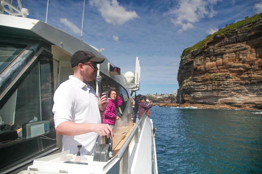 Sydney: Discovery Whale Watching Tour by Catamaran - Is $63 good value?