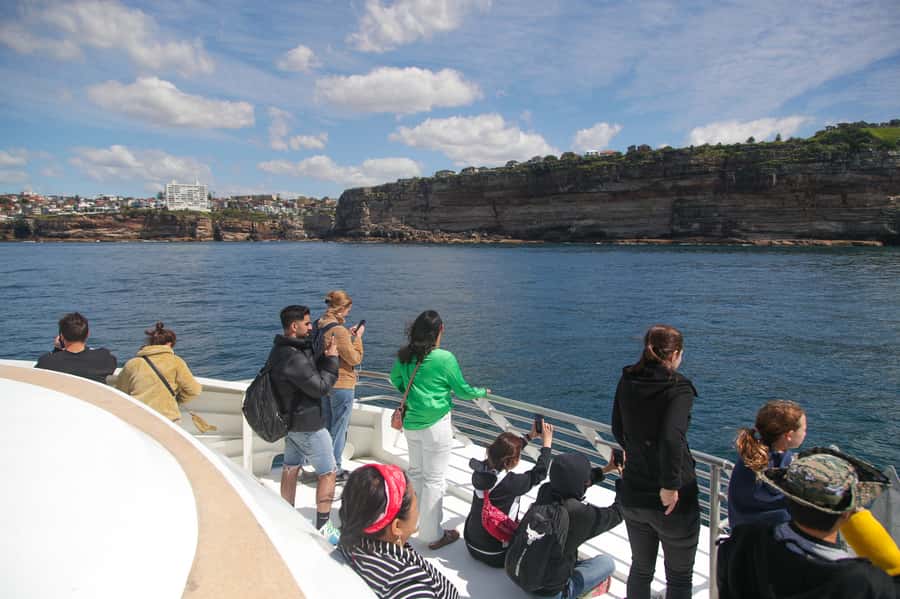 Sydney: Discovery Whale Watching Tour by Catamaran - Booking and practical details