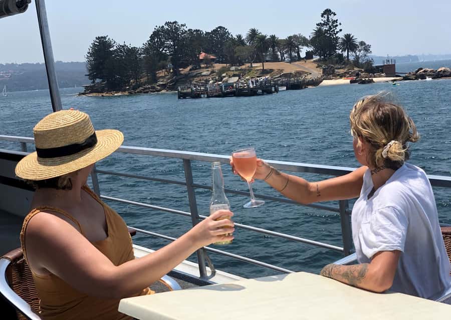 Sydney: Harbour Cruise with Buffet Lunch - What the cruise offers families and first-time visitors