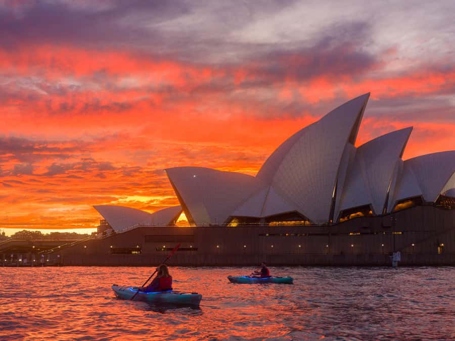 Sydney: Harbour Sunrise Kayak Tour - What $119 Buys You