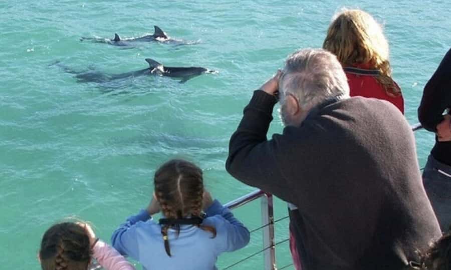 Sydney: Jervis Bay Day Trip with Dolphins, Roos & Beach Time - The Royal National Park break