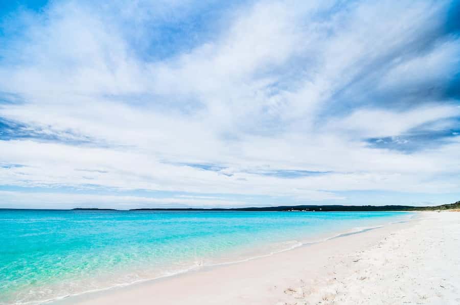 Sydney: Jervis Bay Day Trip with Dolphins, Roos & Beach Time - Dolphins on a 1.5-hour Jervis Bay cruise