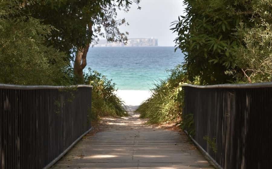 Sydney: Jervis Bay Day Trip with Dolphins, Roos & Beach Time - Kangaroos at Cave Beach and Booderee National Park