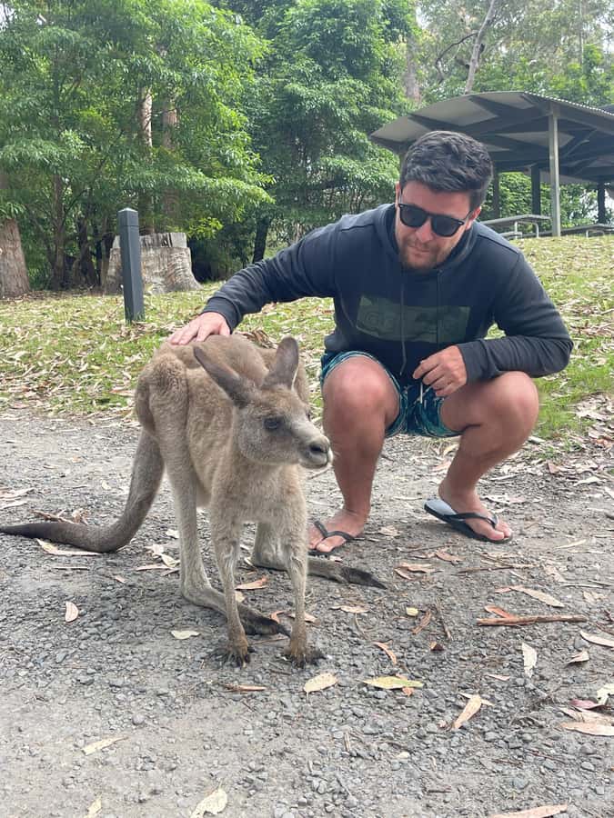 Sydney: Jervis Bay Day Trip with Dolphins, Roos & Beach Time - Guides, group size and the feel of the day