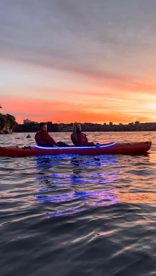 Sydney: Sunrise Kayak, Opera House & Under Harbour Bridge - Paddling toward the Opera House and Harbour Bridge