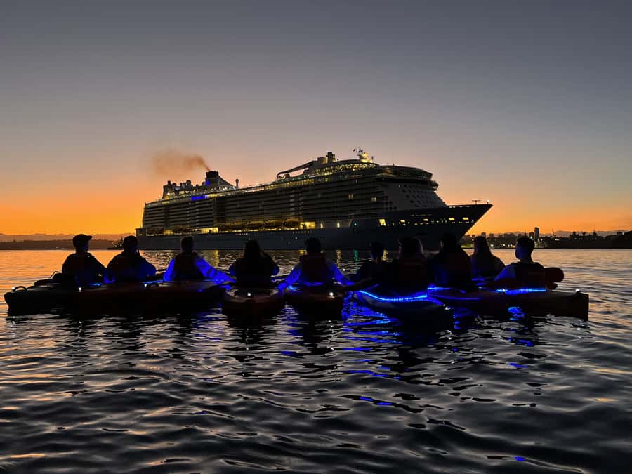 Sydney: Sunrise Kayak, Opera House & Under Harbour Bridge - Who should book this kayak tour