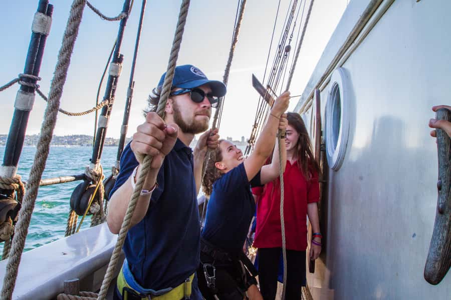 Sydney: Tall Ship Harbour Twilight Dinner Cruise - Helping with the sails and taking the wheel