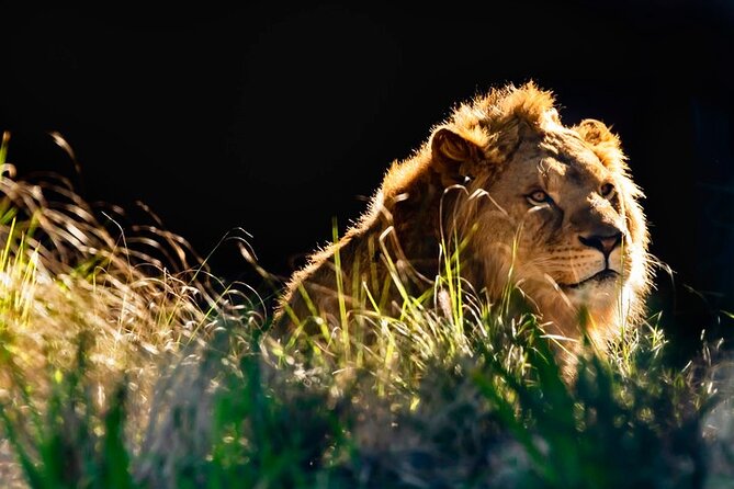 Sydney Taronga Zoo General Entry Ticket - Wild Australia and the animals you came to see