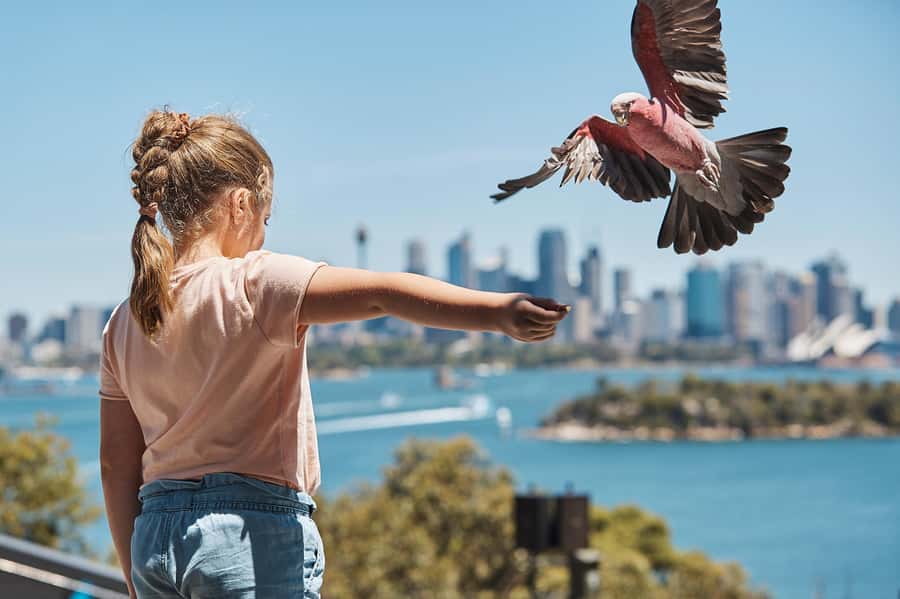 Sydney: Taronga Zoo Ticket with Return Ferry - Who will enjoy this experience most