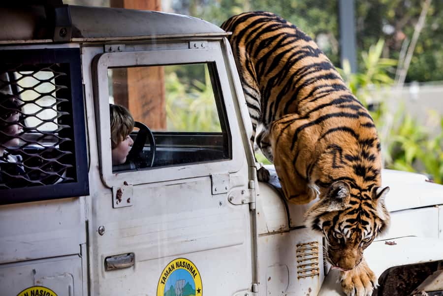 Sydney: Taronga Zoo Ticket with Return Ferry - Collecting your ticket at the harbour