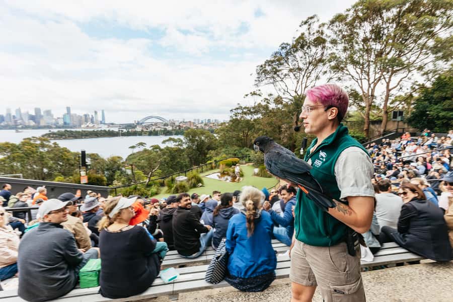 Sydney: Taronga Zoo Tickets - Why Taronga Zoo Works So Well in a Sydney Day