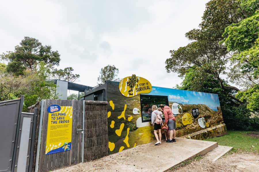 Sydney: Taronga Zoo Tickets - Timing, Walking, and What You May Not See