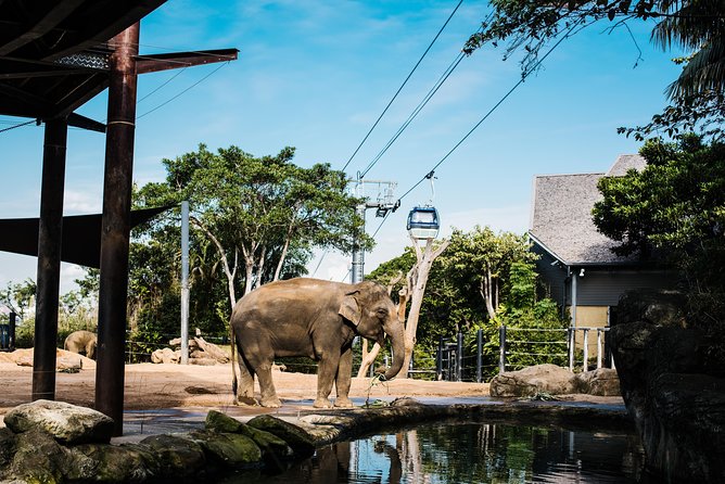 Sydney Taronga Zoo Wild Australia Experience - Why the Wild Australia tour feels different from a normal zoo visit