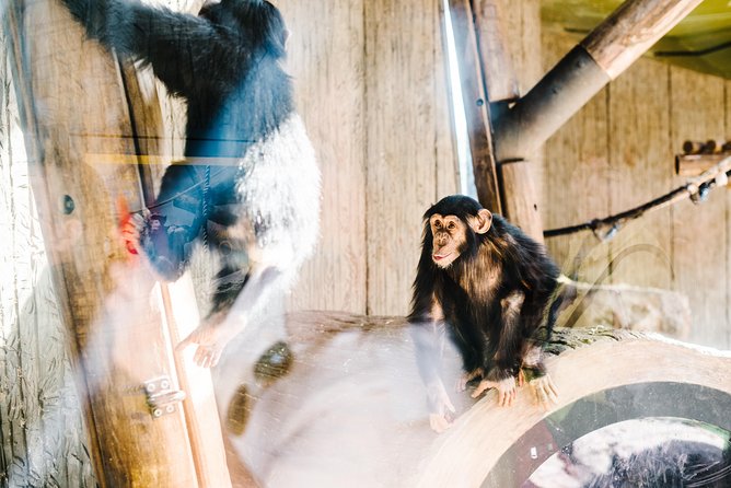 Sydney Taronga Zoo Wild Australia Experience - Is $129.10 a fair price?