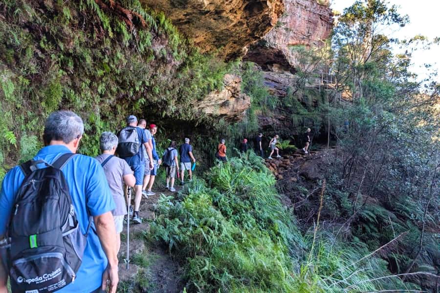 Sydney: Waterfall Bushwalk and Blue Mountain Sunset Day Trip - Why this Blue Mountains day trip earns a place on your Sydney plans
