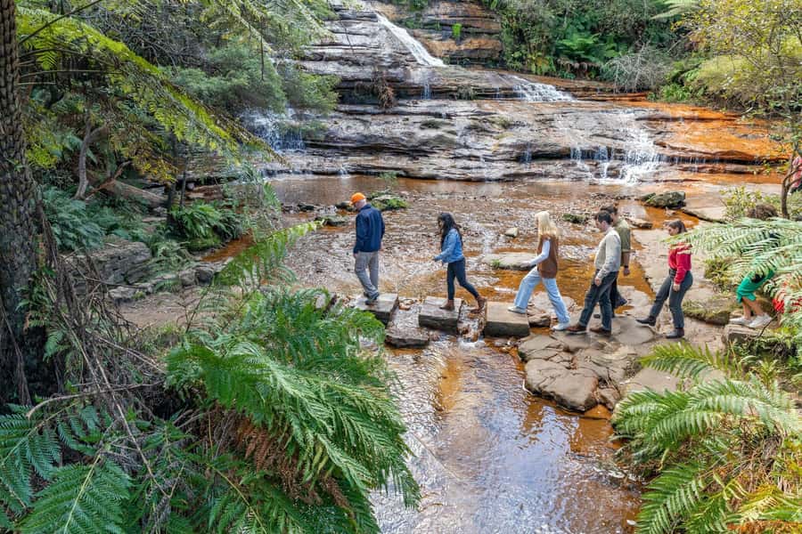 Sydney: Waterfall Bushwalk and Blue Mountain Sunset Day Trip - Walking through Blue Mountains National Park