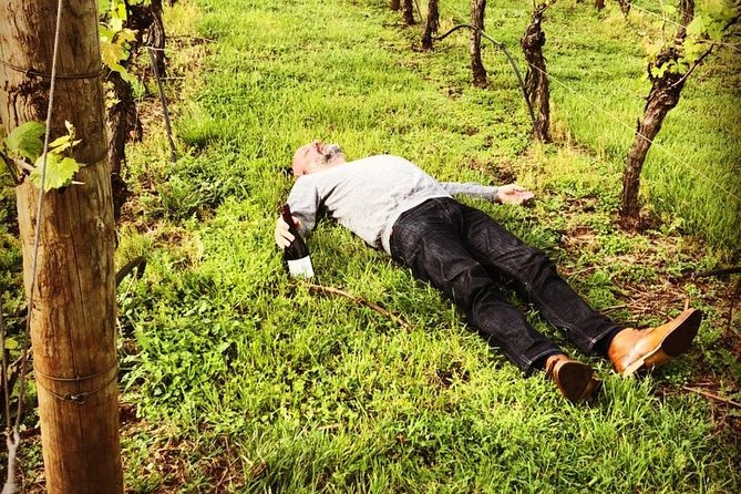 Tamar Valley Wine Tour with Lunch - Who should book this Tamar Valley tour?