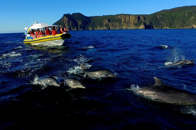 Tasman Peninsula Wilderness Cruise from Port Arthur - Meeting in Port Arthur and the time commitment