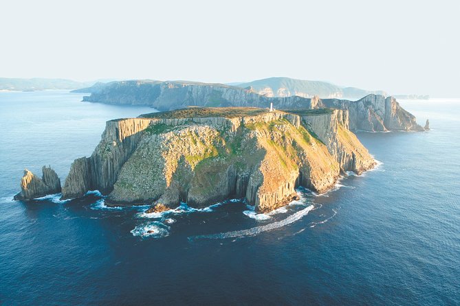 Tasman Peninsula Wilderness Cruise from Port Arthur - Wildlife watching without false promises