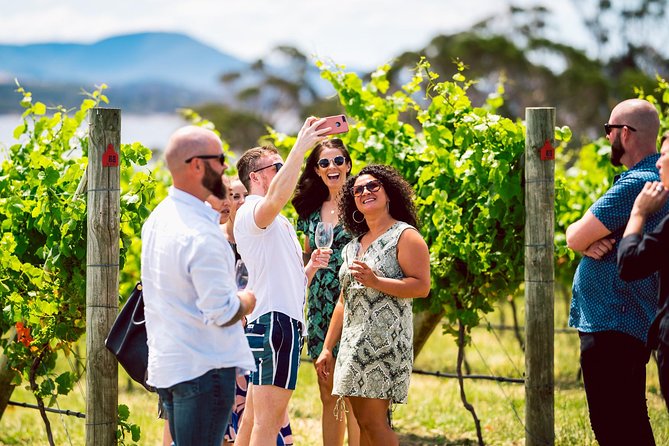 Tasmanian Premium Wine Tour with Tasmanian Cheese Platter - What $207.28 buys you