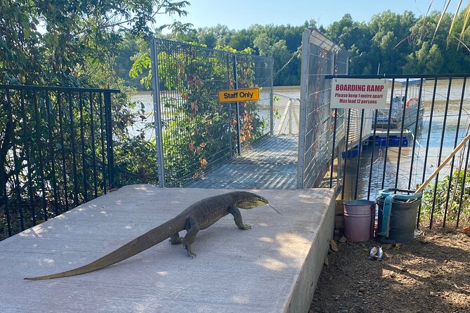 The Croc Bus to the Famous Jumping Crocodile Cruise - Why the Adelaide River crocodile cruise is the main event
