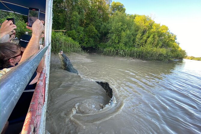 The Croc Bus to the Famous Jumping Crocodile Cruise - The one-hour cruise and the close crocodile encounters
