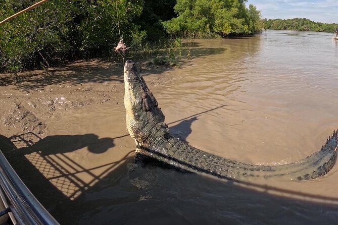 The Croc Bus to the Famous Jumping Crocodile Cruise - Who should book this Darwin outing?